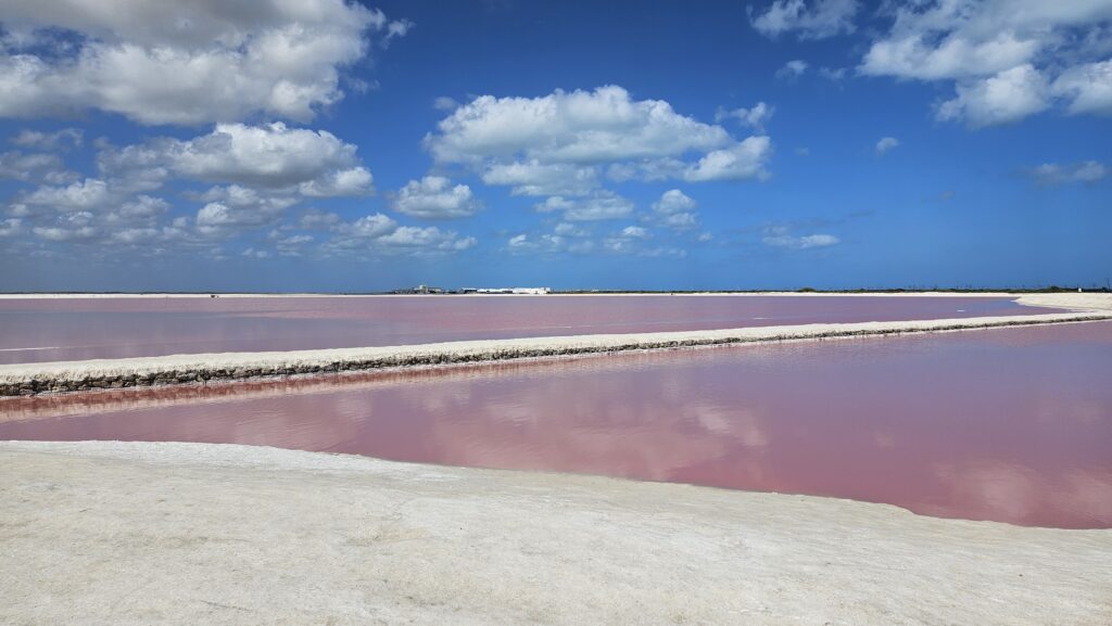 Las Coloradas, Rio Lagartos, Yucatan, Mexico