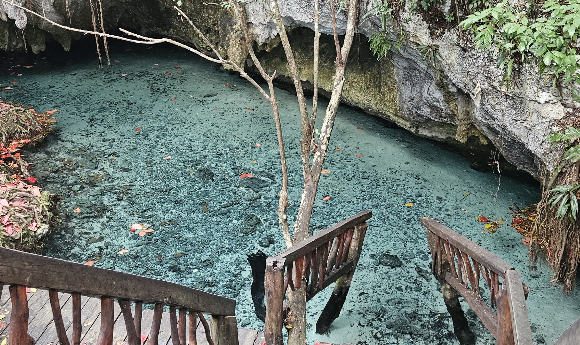 How to Explore Gran Cenote: Ultimate Visitor’s Guide